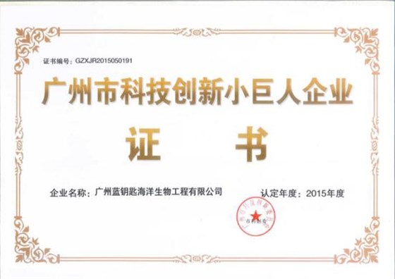 蓝钥匙广州市科技创新企业小巨人企业荣誉奖