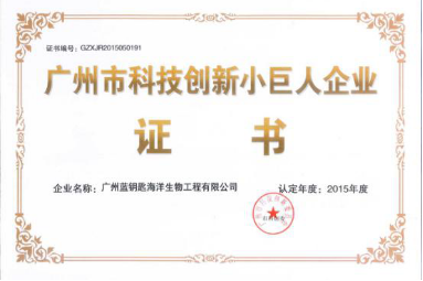 蓝钥匙“广州市科技创新小巨人企业”荣誉称号