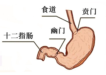 胃上下0