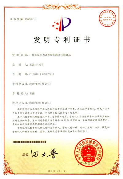 第15个发明专利